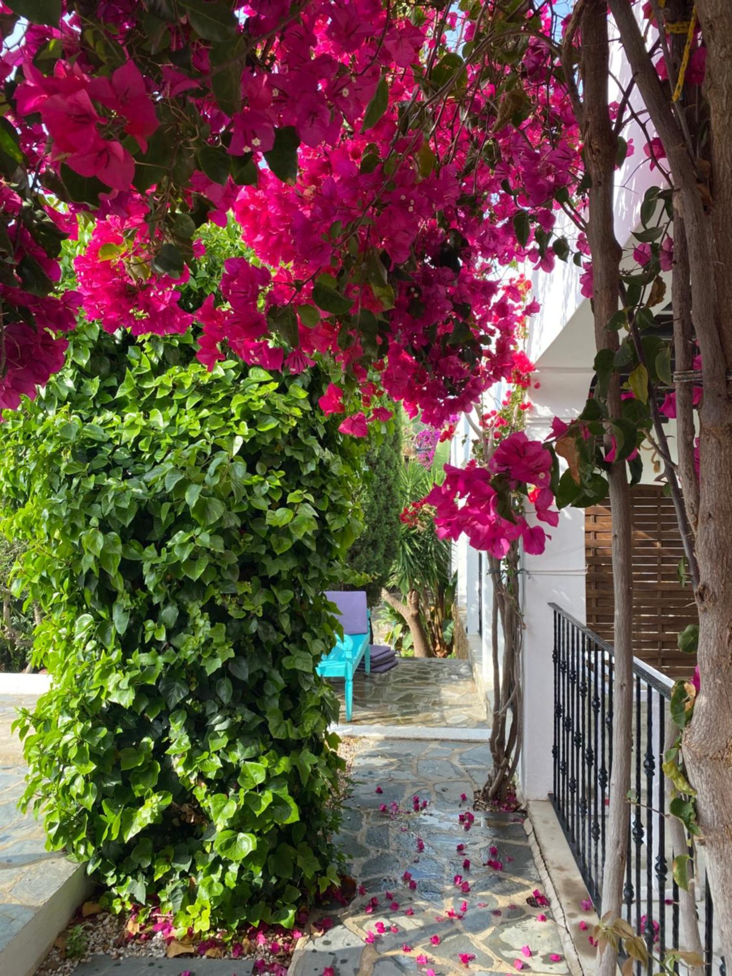 Buenavista Suites Hotel Boutique Santa Eularia des Riu Exteriér fotografie